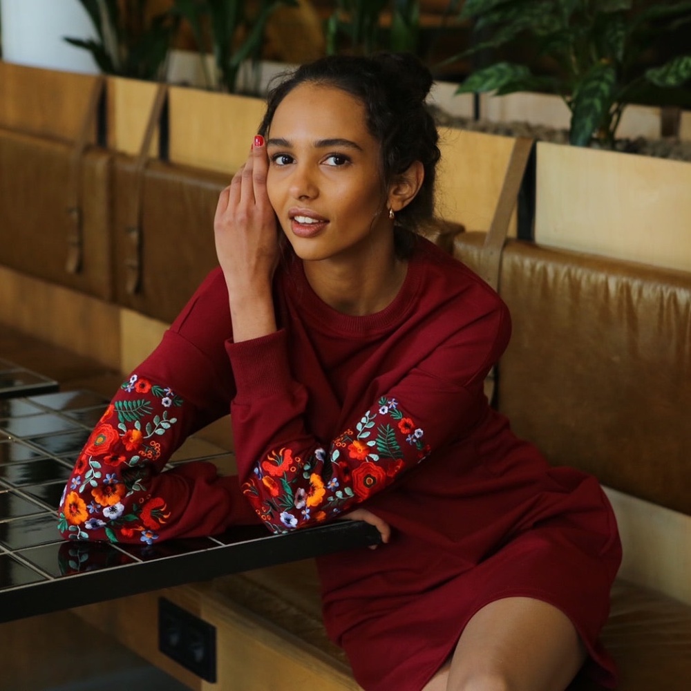 Beautifully Embroidered Sweatshirt Dress